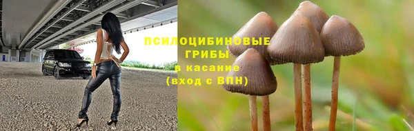тгк Галич
