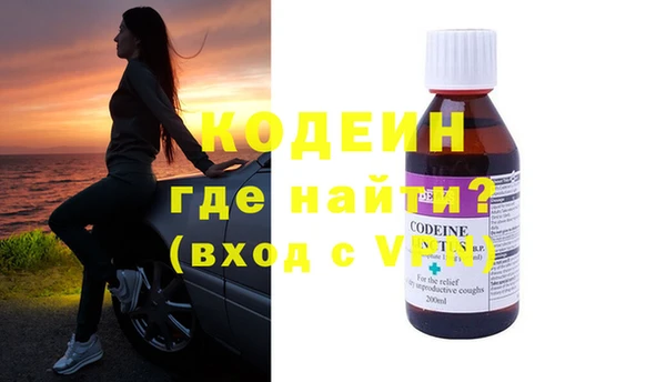 амф Новозыбков