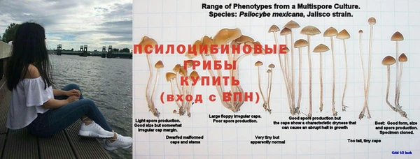 метамфетамин Дмитровск