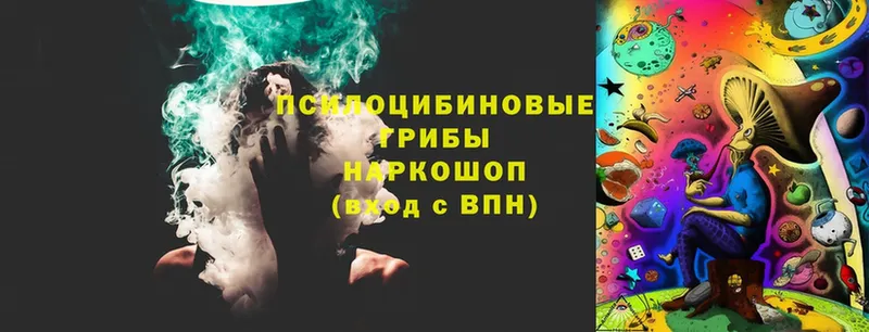 Галлюциногенные грибы Magic Shrooms  Покровск 