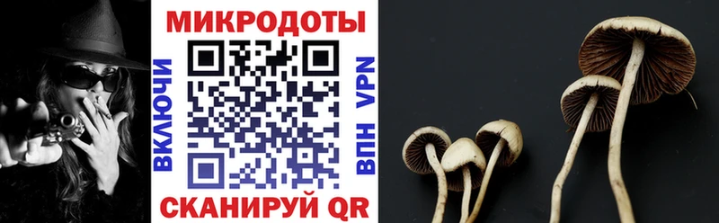 Галлюциногенные грибы Psilocybine cubensis  сайты даркнета Telegram  Покровск 