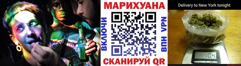 Бошки марихуана сатива  Покровск 